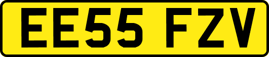EE55FZV