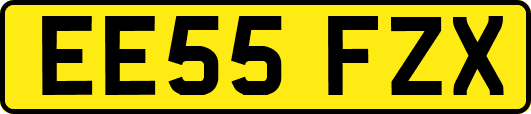 EE55FZX