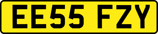 EE55FZY