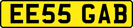 EE55GAB
