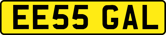 EE55GAL