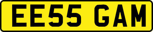 EE55GAM