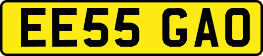 EE55GAO