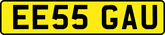 EE55GAU