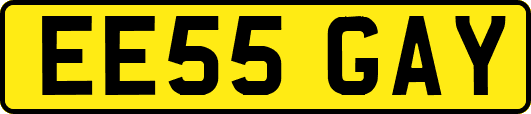 EE55GAY