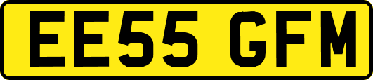 EE55GFM
