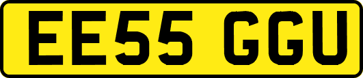 EE55GGU