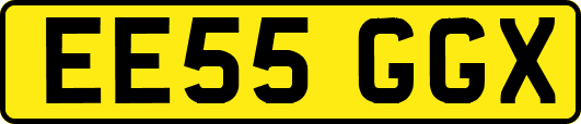EE55GGX