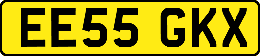 EE55GKX
