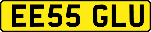 EE55GLU