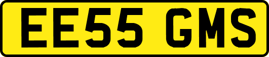 EE55GMS