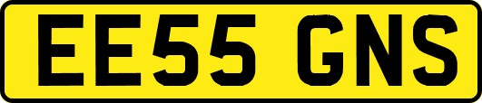 EE55GNS