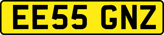 EE55GNZ
