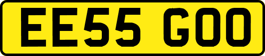 EE55GOO