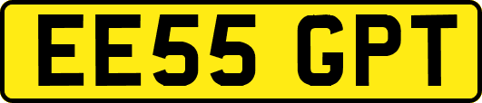 EE55GPT