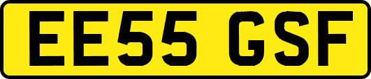EE55GSF