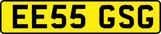 EE55GSG
