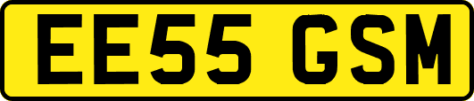 EE55GSM