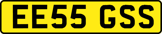 EE55GSS