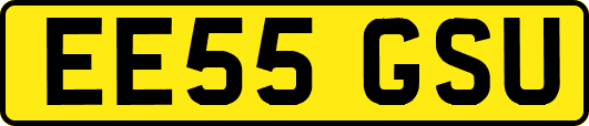 EE55GSU
