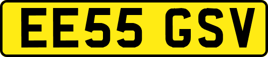 EE55GSV