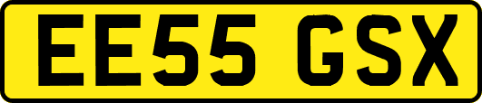 EE55GSX