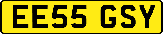 EE55GSY