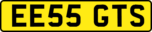 EE55GTS