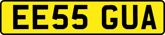 EE55GUA