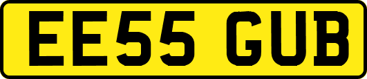 EE55GUB