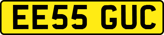 EE55GUC