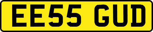 EE55GUD