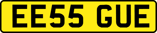 EE55GUE