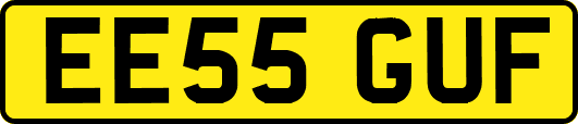 EE55GUF