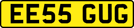 EE55GUG