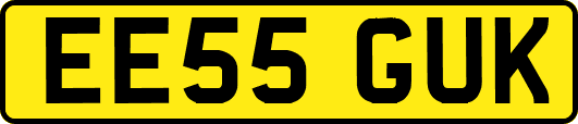 EE55GUK