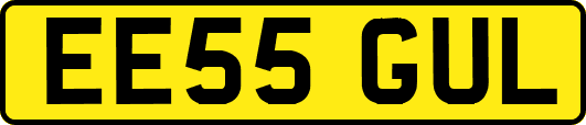 EE55GUL