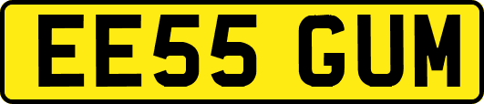 EE55GUM