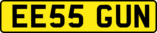 EE55GUN