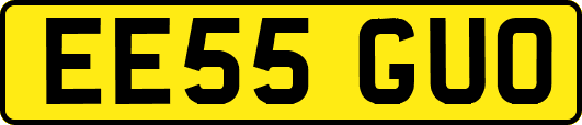 EE55GUO