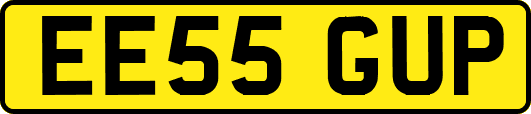EE55GUP