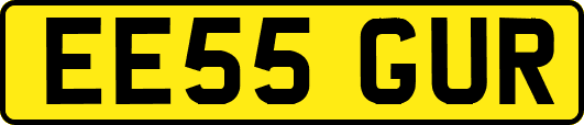 EE55GUR