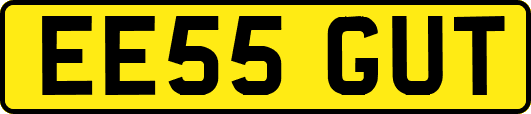 EE55GUT