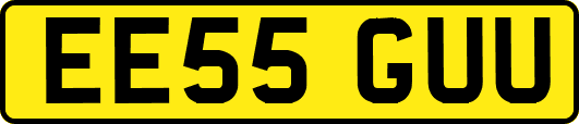 EE55GUU