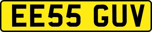 EE55GUV