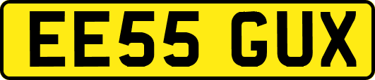 EE55GUX