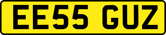 EE55GUZ