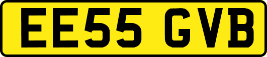 EE55GVB