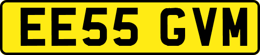 EE55GVM
