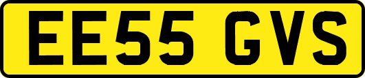 EE55GVS